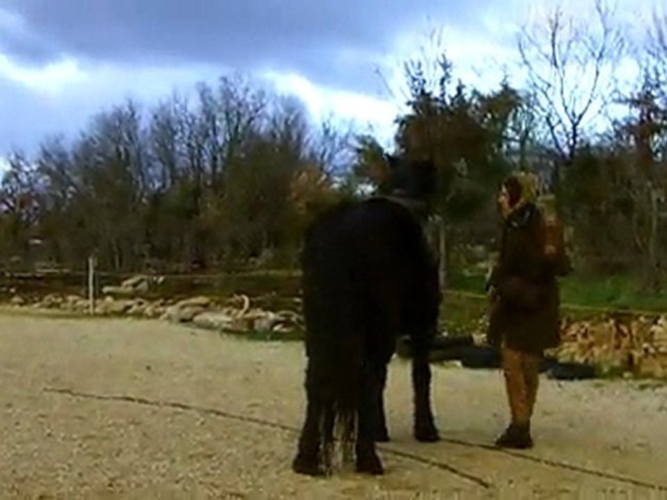 save the queen à pied, mérens