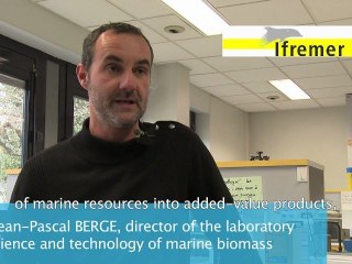 IFREMER, Jean-Pascal Bergé at Biomarine 2011