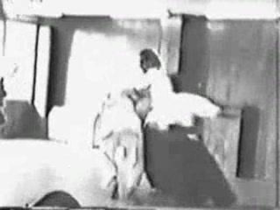 StevenSeagalBrawl