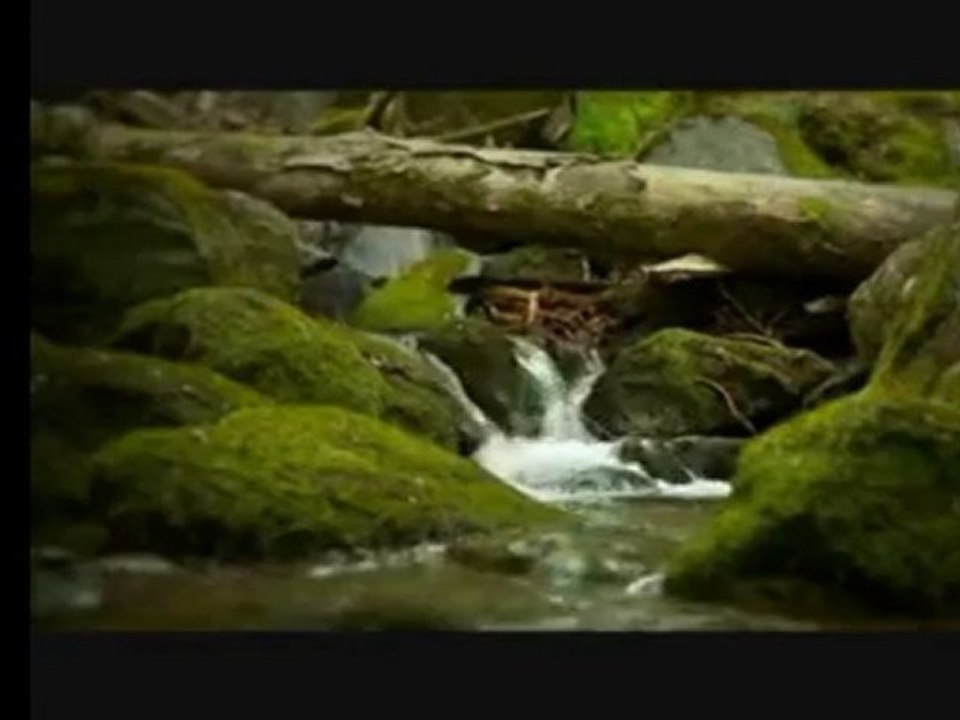 tasavvuftan damlalar-Fenafillah-1