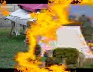 MONTAGE CIDRE & DRAGONS