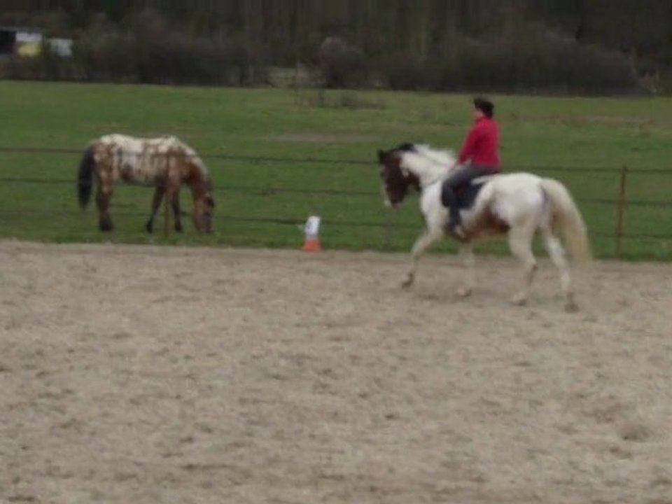 Entrainement Dress club 1 grand prix