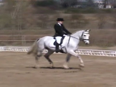 Concours Dressage Trèbes 2011