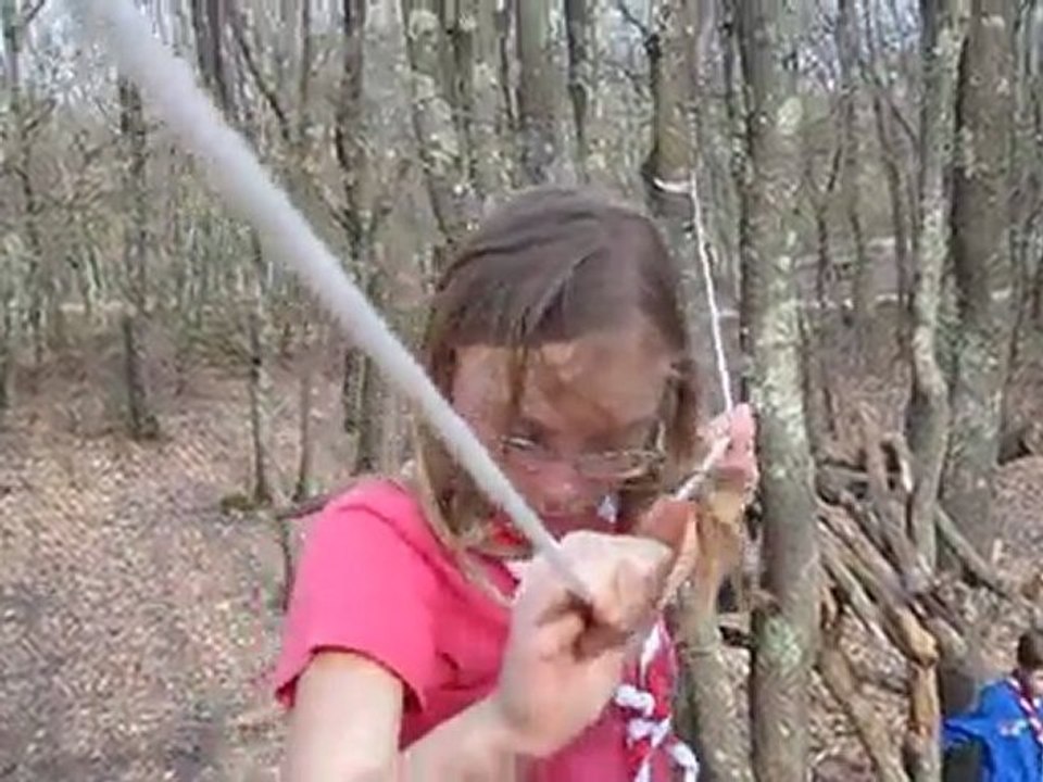Le petit pont de singe