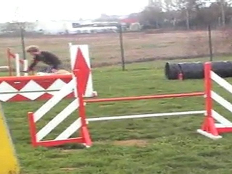 WILLIAM JUMPING+ AUCH 13032011