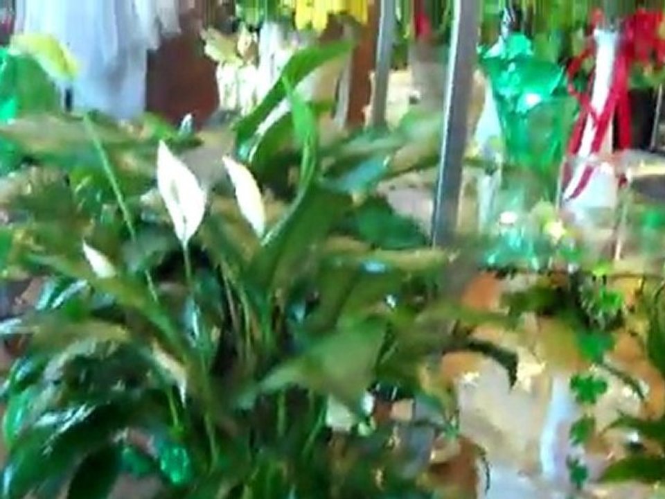 Austintown Florist