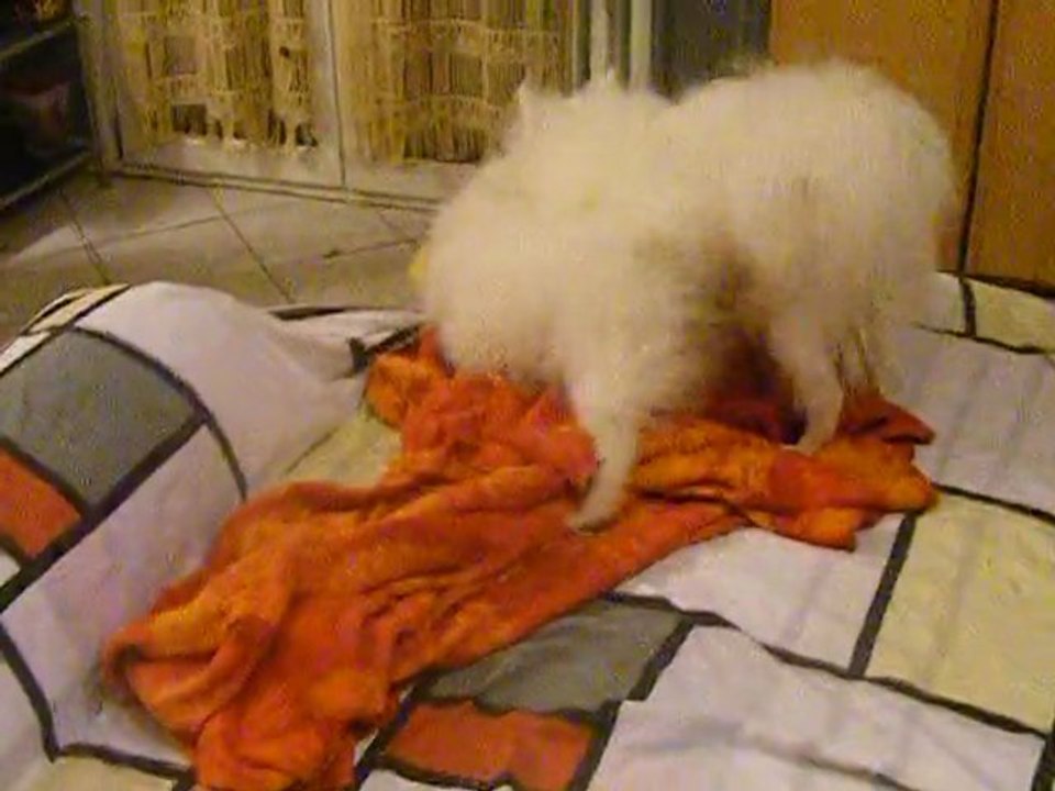 Yuki