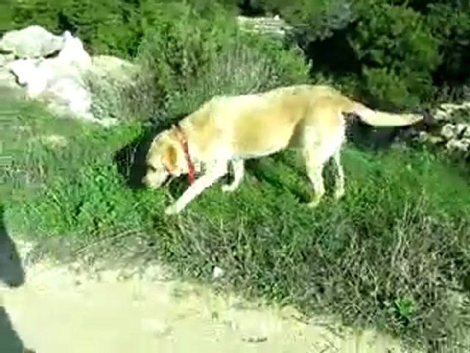 Naomi (w), 3 1/2 Jahre