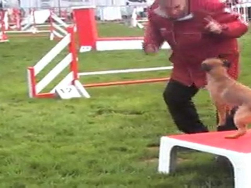 GERARD GPF auch 13032011