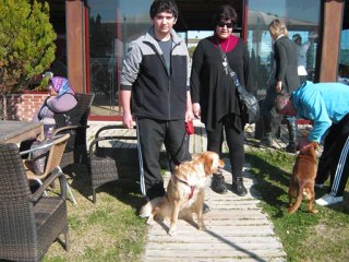 Antalya Köpek Yarışması