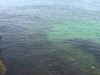 Cap 12 Malecon y 1830