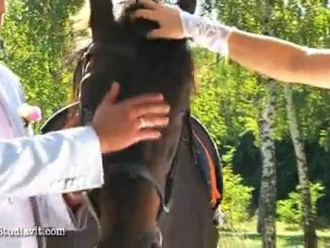 Свадебная прогулка на лошадях