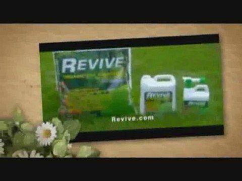 Lawn-Aeration.info | dog spots in lawn | lawn fertilizing schedule | organic lawn fertilizer