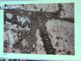 Cedimenti stradali ad Andria: la conferenza stampa con le immagini dei sotterranei
