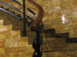 Strafrecht Hamburg Roy & Roy Rechtsanwälte Hamburg-Altstadt