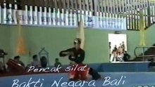 Pencak Silat Martial Arts Indonesia 24