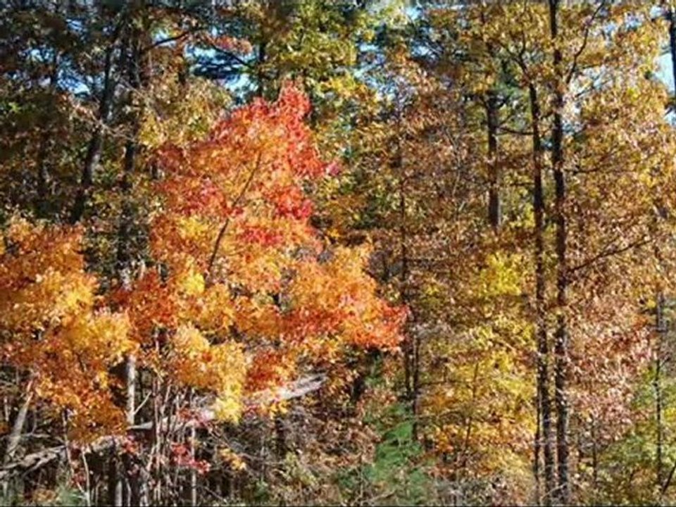 Bentonville, VA--Front Royal Home Sales