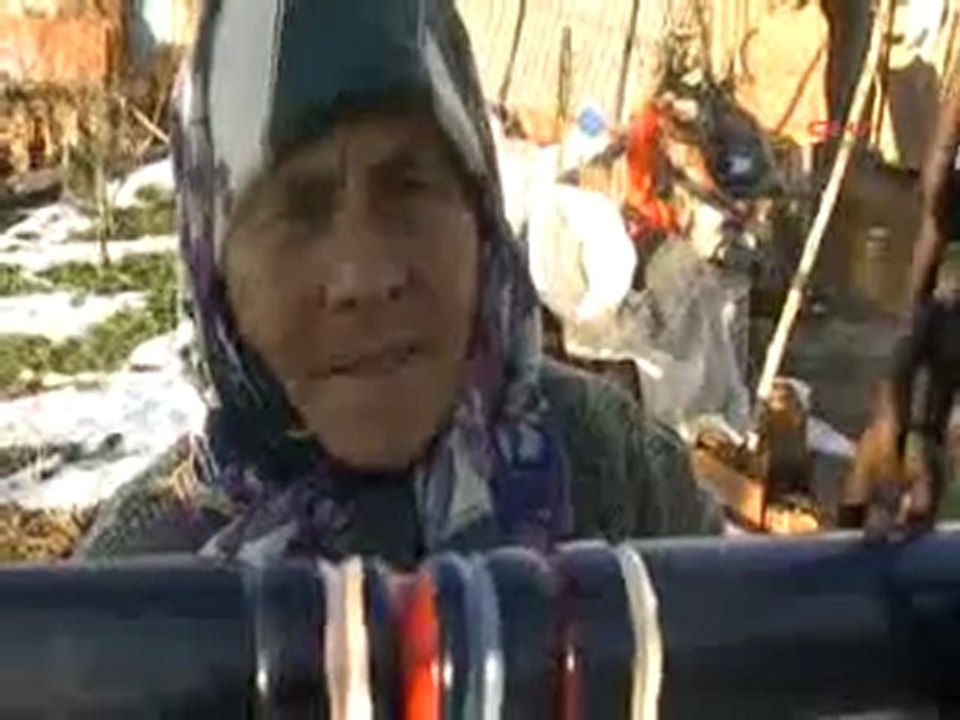 110315025_BAYRAMIC-KUZUYA_BEBEK_GIBI_BAKIYOR(2)