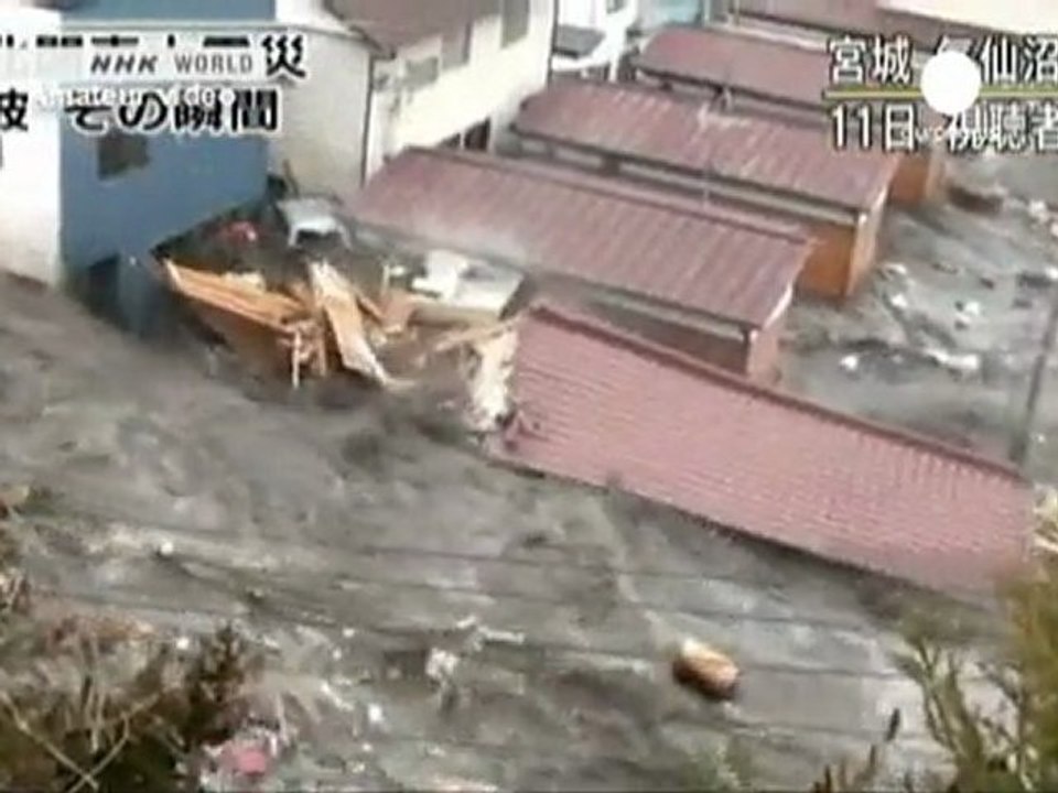 Multiple disasters put Japan on the ropes
