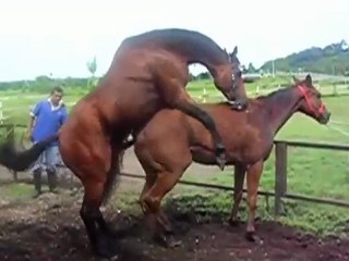Pedro Castro explica lo que es un POLVO