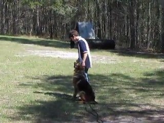 Dax Training for Control Center