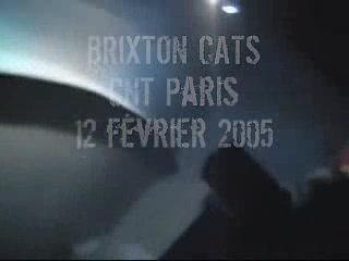 Brixton Cats - FTP