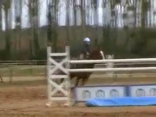 pame wiwi scorbe 2011 13 mars