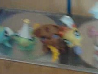 Petshop Miss Cook partie 1