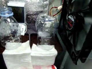 Serveur Grow box Bio energie re-mixed