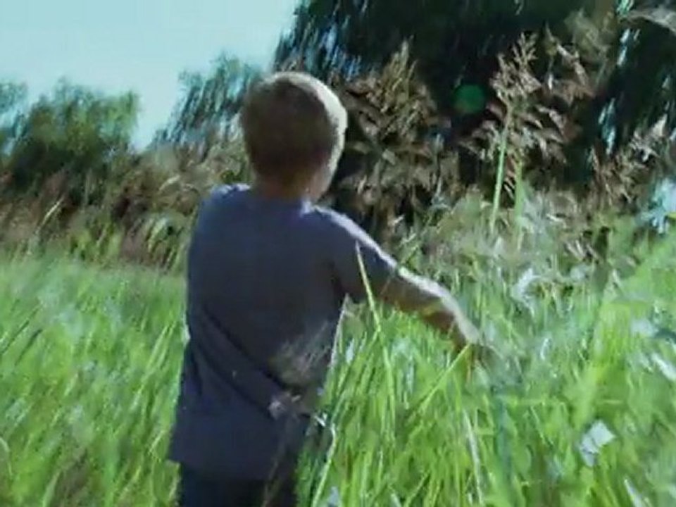 Tree of Life - Bande annonce (VOST)