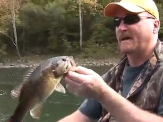 Mountain State Anglers