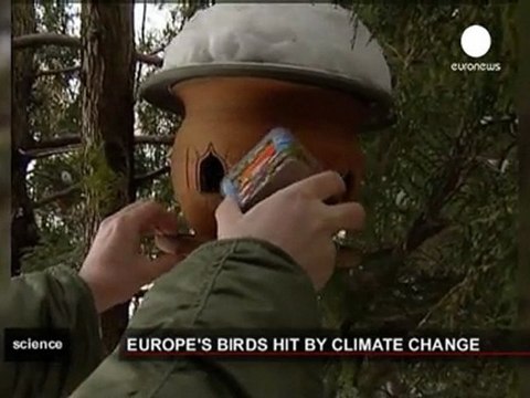 Effetto serra: a rischio centinaia di specie di uccelli