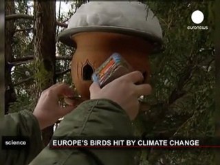 Le réchauffement climatique et les oiseaux migrateurs