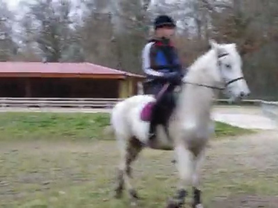 delphine et nougatine