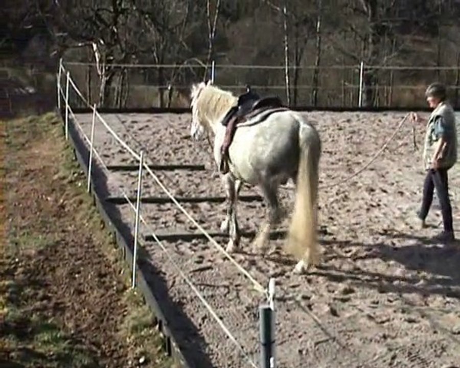longe 15mars2011