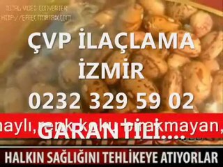 Download Video: ÇVP İLAÇLAMA İZMİR'İN HERYERİNDE...0232 329 59 02