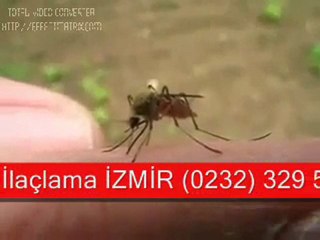 Video herunterladen: İZMİR ilaçlama   0232 329 59 02 TÜM HAŞERELER İÇİN GARANTİ