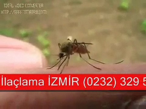 İZMİR ilaçlama 0232 329 59 02 TÜM HAŞERELER İÇİN GARANTİ