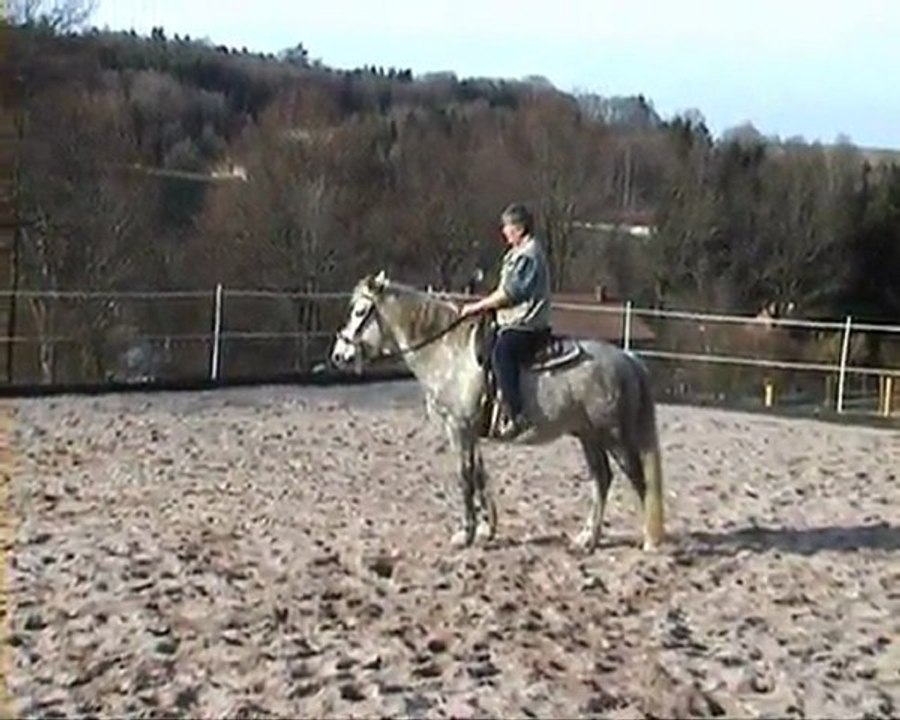 monté15mars11