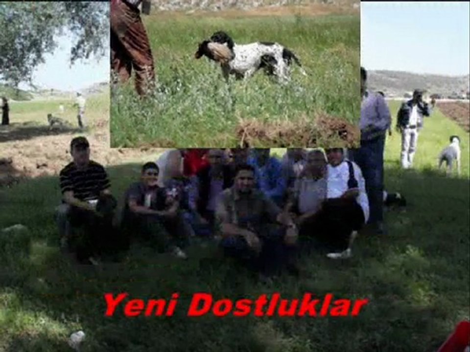 yarısma
