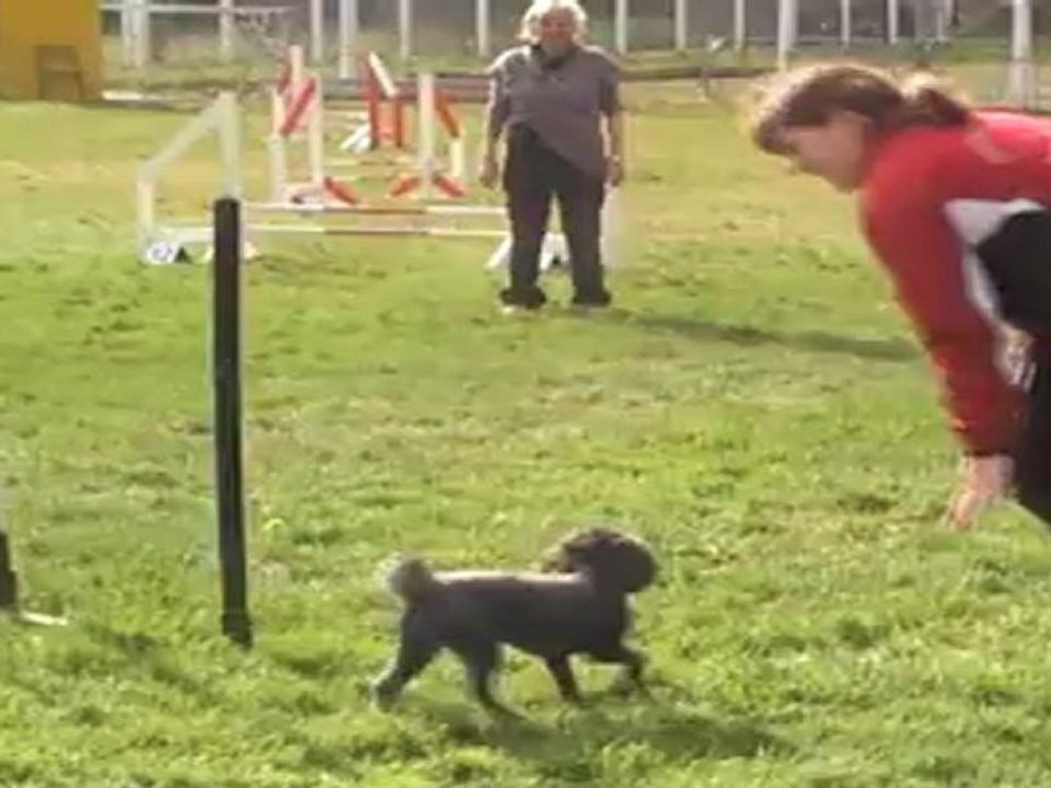 HELENE cooky  JUMPING auch 13032011