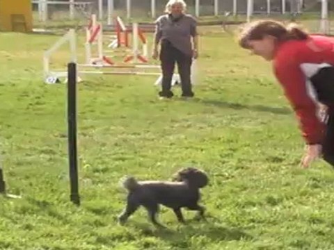 HELENE cooky JUMPING auch 13032011