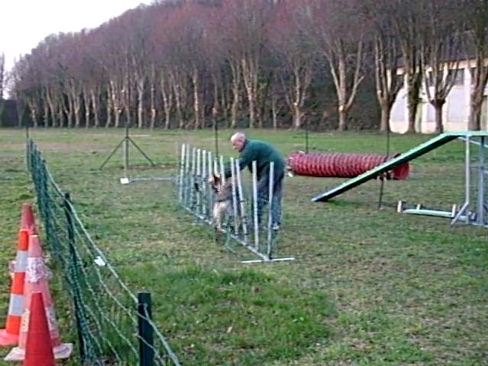 FARO du Domaine de Kilorff  à l'agility video 1 Mars 2011