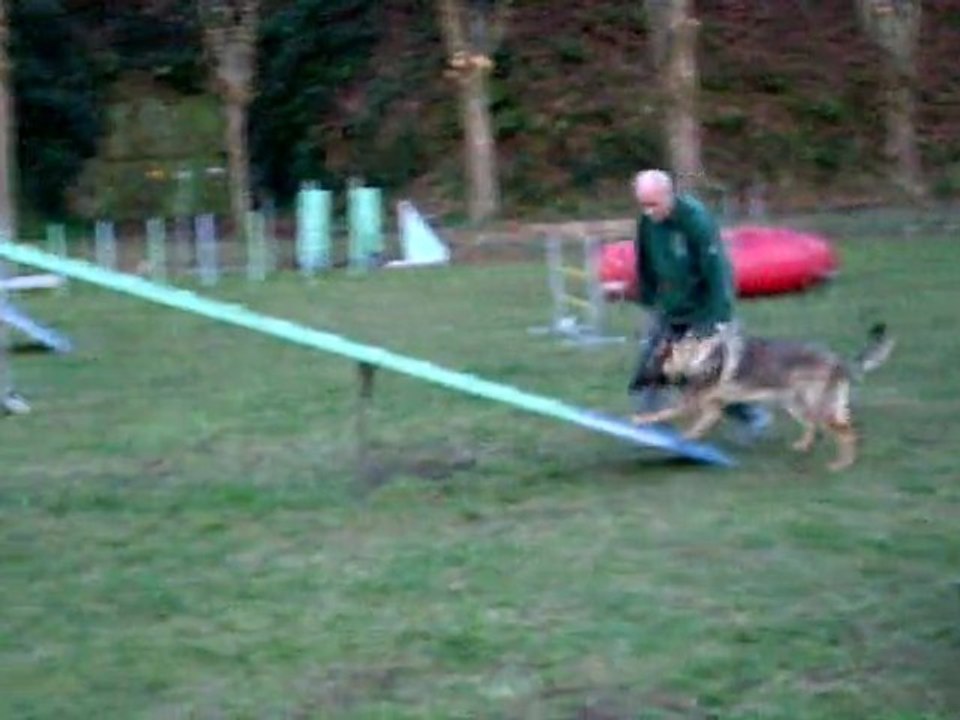 FARO du Domaine de Kilorff à l'agility video 2 - Mars 2011
