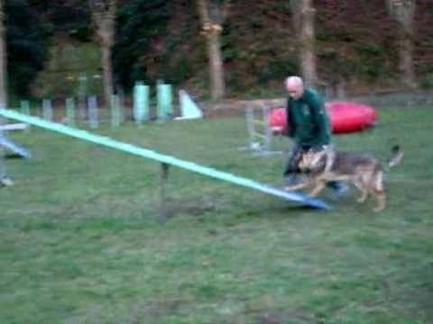 FARO du Domaine de Kilorff à l'agility video 2 - Mars 2011
