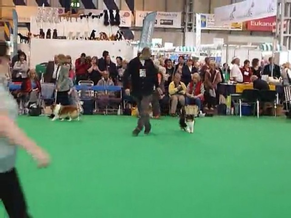 P1010200 Crufts 2011 allures vanille
