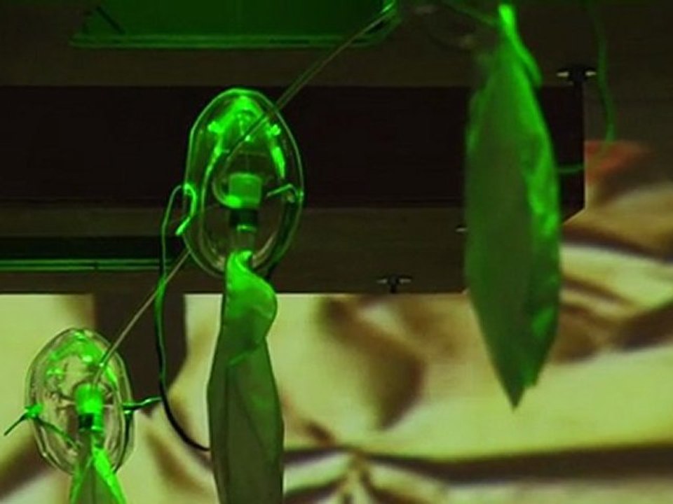 malachi farrell carla 1 2010