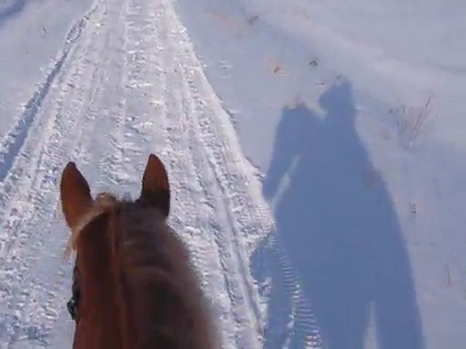 mon chevAL SPRITE 2 023