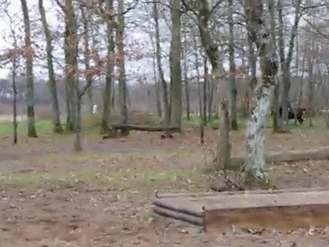 Franck et Praline cross lamotte beuvron