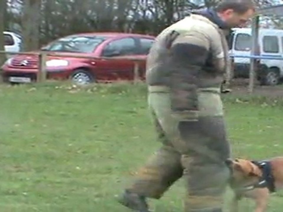 EDDE mordant face et défense mars 2011